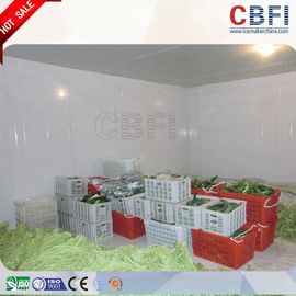 Stanza integrata di conservazione frigorifera di R404a, conservazione fresca della cella frigorifera di bassa temperatura