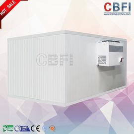 Il risparmio energetico ha integrato il surgelamento dell'attrezzatura della cella frigorifera del congelatore/cella frigorifera