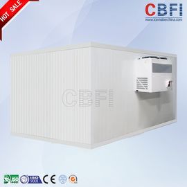 Cella frigorifera del congelatore dell'acciaio inossidabile/passeggiata in congelatore per stoccaggio dell'alimento
