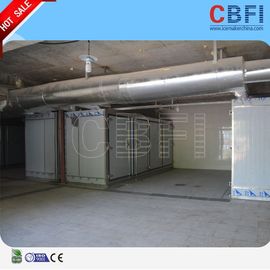 Congelatore ad aria compressa commerciale/stanza chimica del congelatore ad aria compressa con il compressore importato