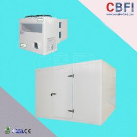 Cella frigorifera del congelatore di controllo elettrico di Siemens SpA, affare della cella frigorifera