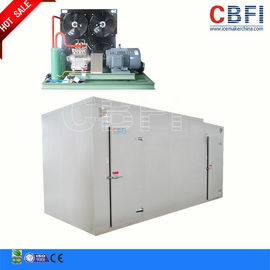 Cella frigorifera del congelatore ad aria compressa di dimensione/congelatore ad aria compressa su misura per la carne di pesce del pollo