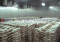 1000 tonnellate del grande congelatore di R507 R404a di cella frigorifera per i polli del pesce della carne