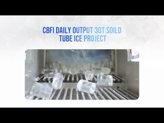 Europa 30 tonnellate Solid Flat Cut Ends Tube Ice Machine Case