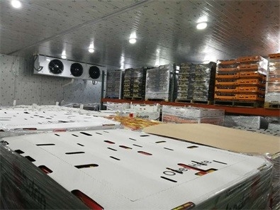 6500 tonnellate del congelatore della cella frigorifera dell'alimento di refrigerazione R404a di raffreddamento ad acqua