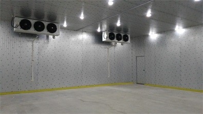 6500 tonnellate del congelatore della cella frigorifera dell'alimento di refrigerazione R404a di raffreddamento ad acqua